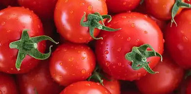 Pomidory w karmieniu piersią: czy bezpieczne?